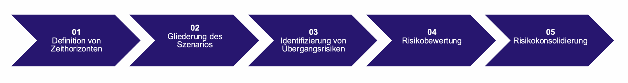 Abbildung 13: Prozess zur Bewertung transitorischer Risiken für den Zeppelin Konzern